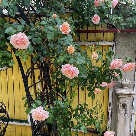 Luxurious Villa With Lush Garden And Huge Terrace Near Herastrau Park Bucharest Luaran gambar
