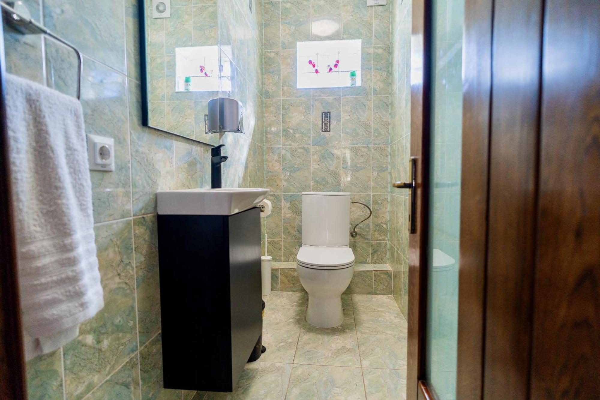 Luxurious Villa With Lush Garden And Huge Terrace Near Herastrau Park Bucharest Luaran gambar
